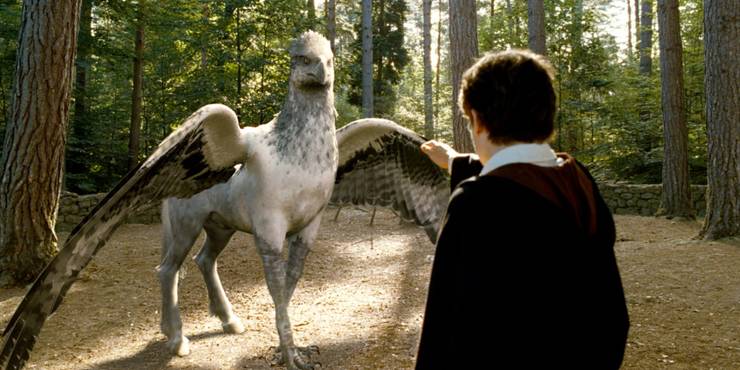 Harry Potter 10 Biggest Ways Hagrid Changed From Philosophers Stone To Deathly Hallows Harry Potter 10 Biggest Ways Hagrid Changed From Philosophers Stone To Deathly Hallows